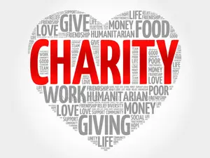 Get Custom Wordpress Site For Charities And Nonprofits Initiatives