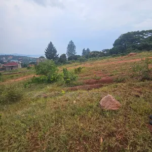 Muyenga Hill Road, Muyenga Kampala: 14 Decimals Plot for Sale at 450m
