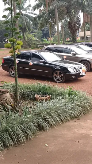 Executive Car Rentals