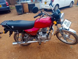 Bajaj Boxer 100 2024 Red