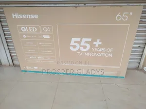 65 Qled Hisense Smart Flat Screen Flameless.