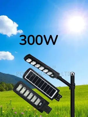 300w Solar Street Light Flamingo