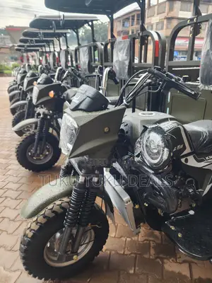 New Tricycle 2025 Green