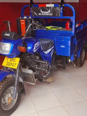 New Tricycle 2025 Blue
