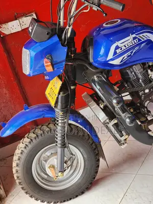 New Tricycle 2025 Blue