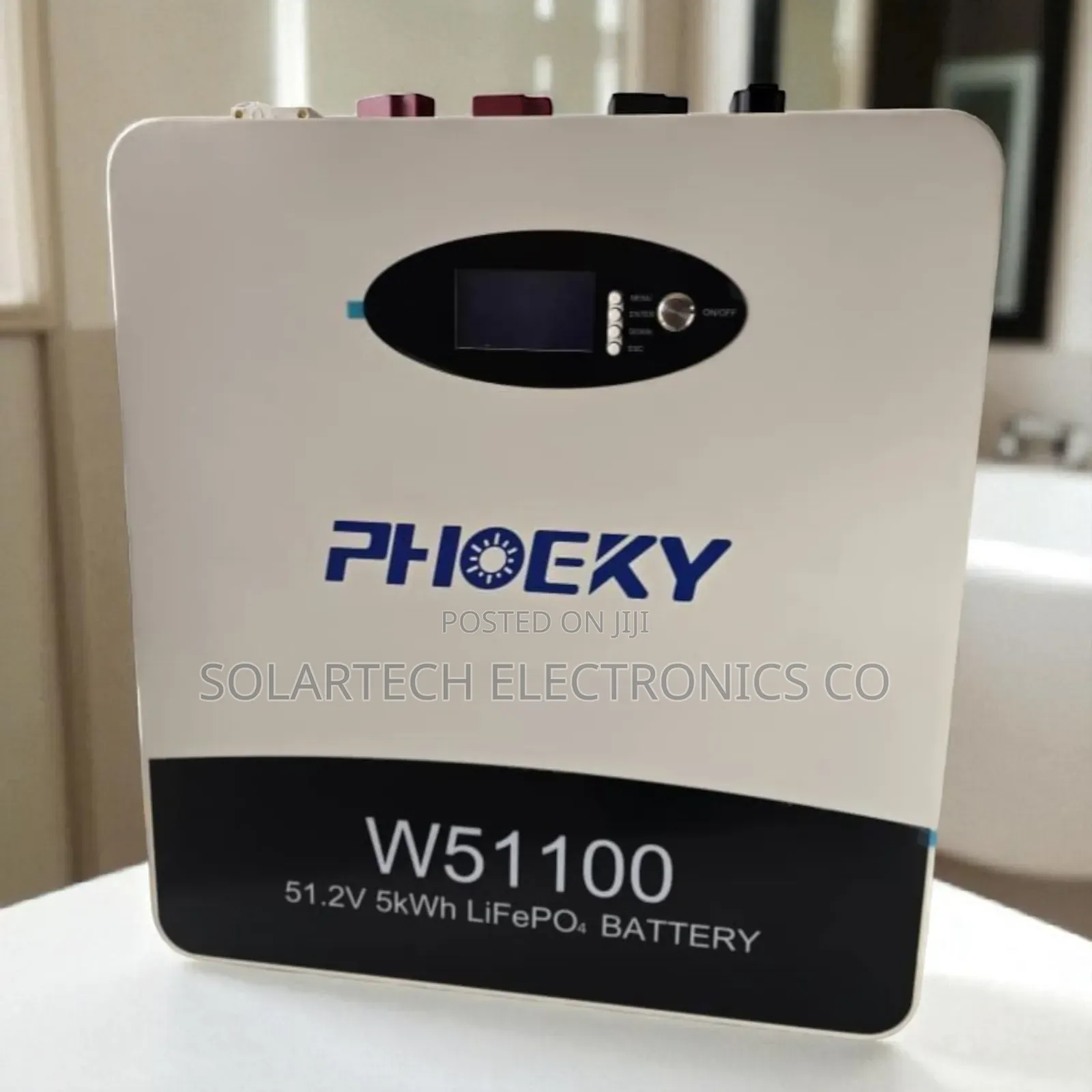 Premium 5kwh 48v Phoeky Battery for Off-Grid Use