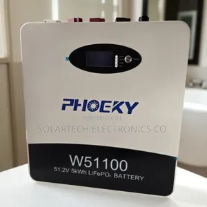 Premium 5kwh 48v Phoeky Battery for Off-Grid Use