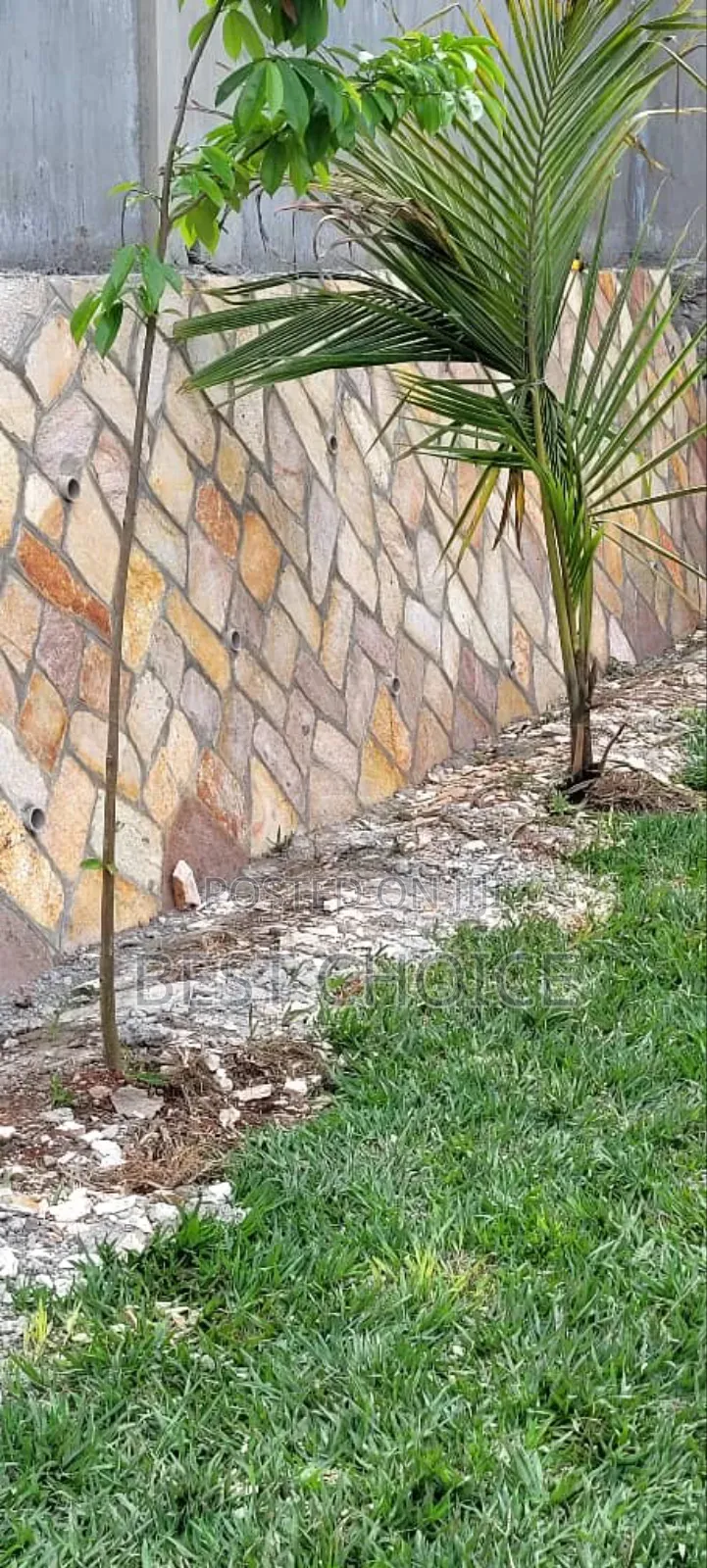 Expert Stones Cladding Services That Elevate Your Property.