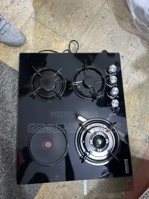 Globalstar Glass Gas Plates With One Electric Plate.