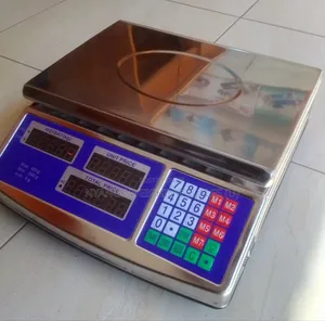 Stainless Electronic Weigh 40kg Weighing Scale Digital Weighing Scale