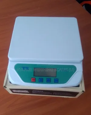 Digital Weighing Scale For Kitchen 30kg Weigh Tabletop Weighing Scale