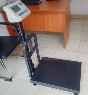 Coffee on Loading Weigh 600kg Weighing Scale Digital Weighing Scale