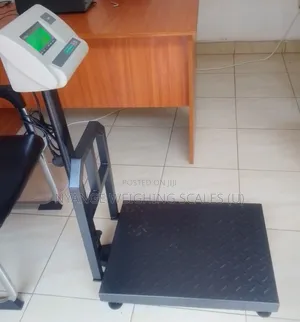 Platform Weighing Scale 350kg Weigh Industrial Platform Weighing Scale