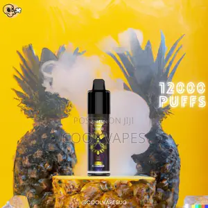 VNSN 12000 Puffs Pinneapple Ice Rechargable