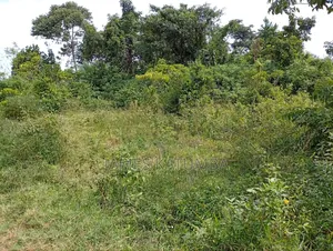 Land for Leasing