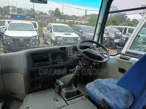 Mitsubishi Fuso Rosa 2013