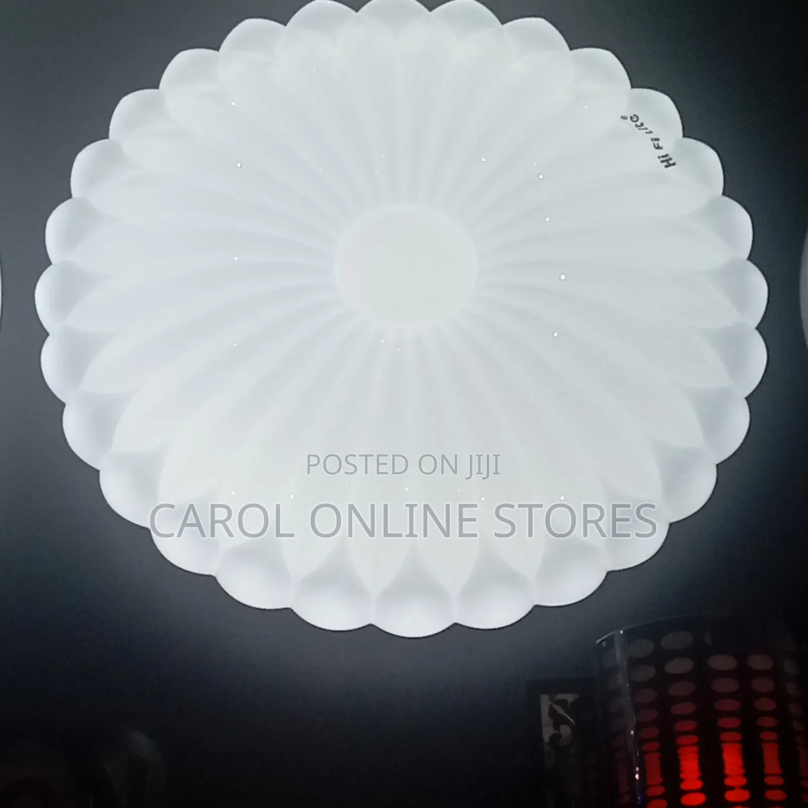 Ceiling Lights