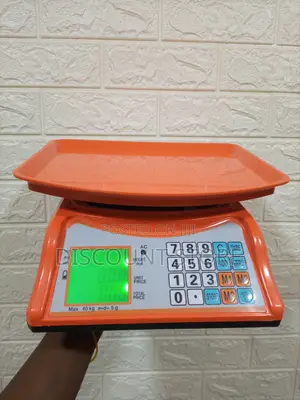 Weighing Scale Kitchen 30kg Food Weighing Scale
