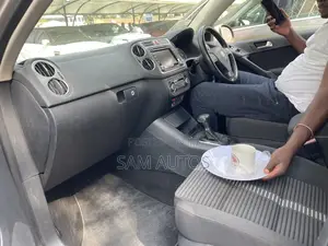 Volkswagen Tiguan 2009 Silver