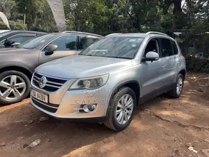 Volkswagen Tiguan 2009 Silver