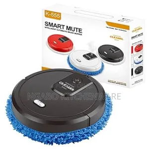 Robot Mopper or Intelligent Automatic Brush Mopper
