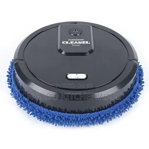 Robot Mopper or Intelligent Automatic Brush Mopper