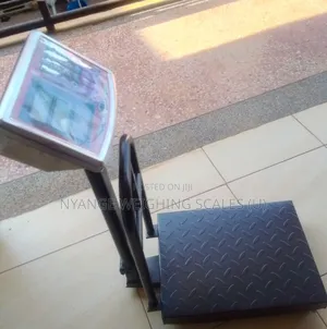 Customizable Digital Weigh Scale 180kg Weigh Electronic Weighing Scale