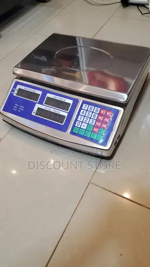 Electronic Stainless Weigh 40kg Weighing Scale Digital Weighing Scale