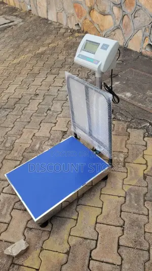 Digital Weigh Scale 300kg Weigh Industrial Weighing Scale