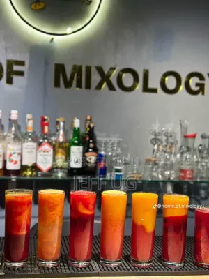 Mixology Training Course