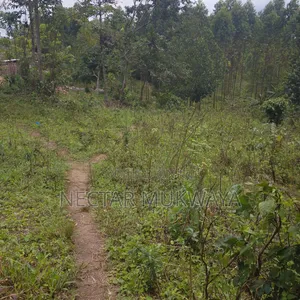 Land in Mukono 50 by 50