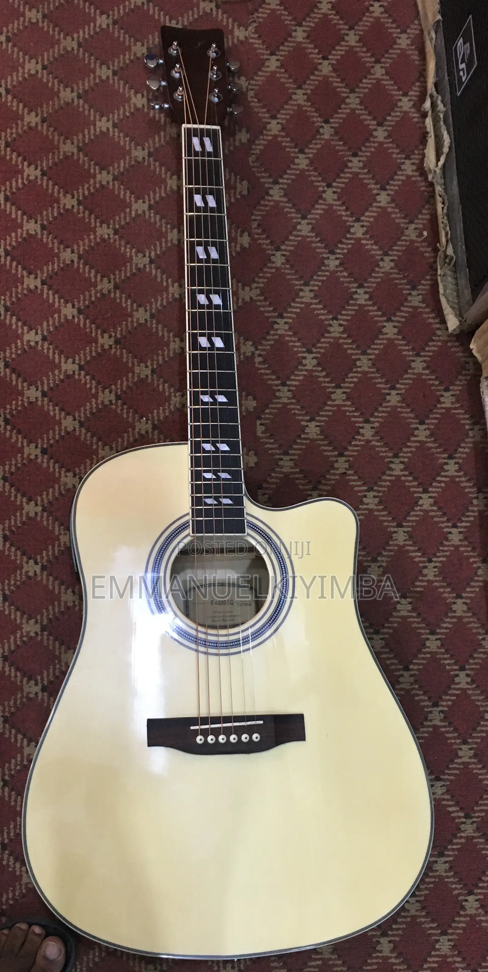 Acoustic Electric Guitar