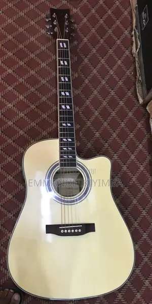 Acoustic Electric Guitar