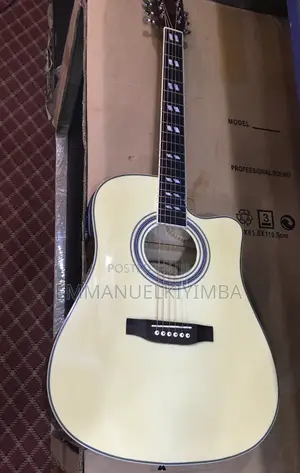 Acoustic Electric Guitar