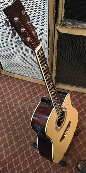 Acoustic Guitar B