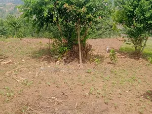 2 Acre at Mpigi Quick Sale Kabila Mpigi