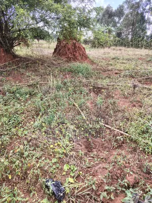 Plots For Sale In Namagera Wakiso District 3km From Hoima Road