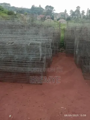 Chicken Cages