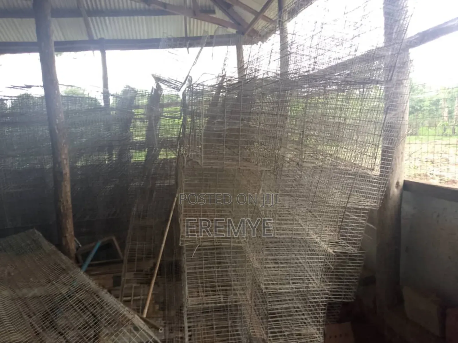 Chicken Cages