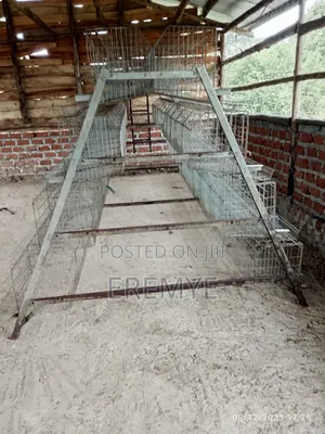 Chicken Cages