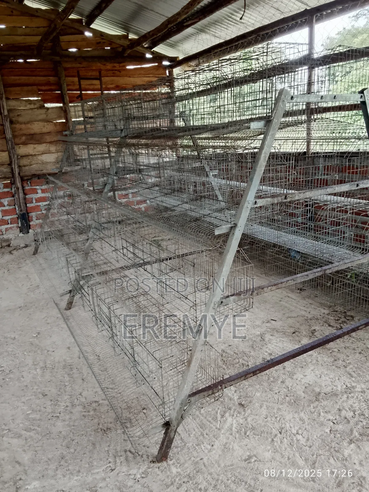 Chicken Cages