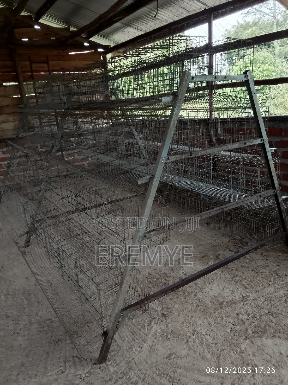 Chicken Cages