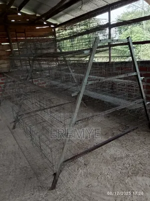 Chicken Cages