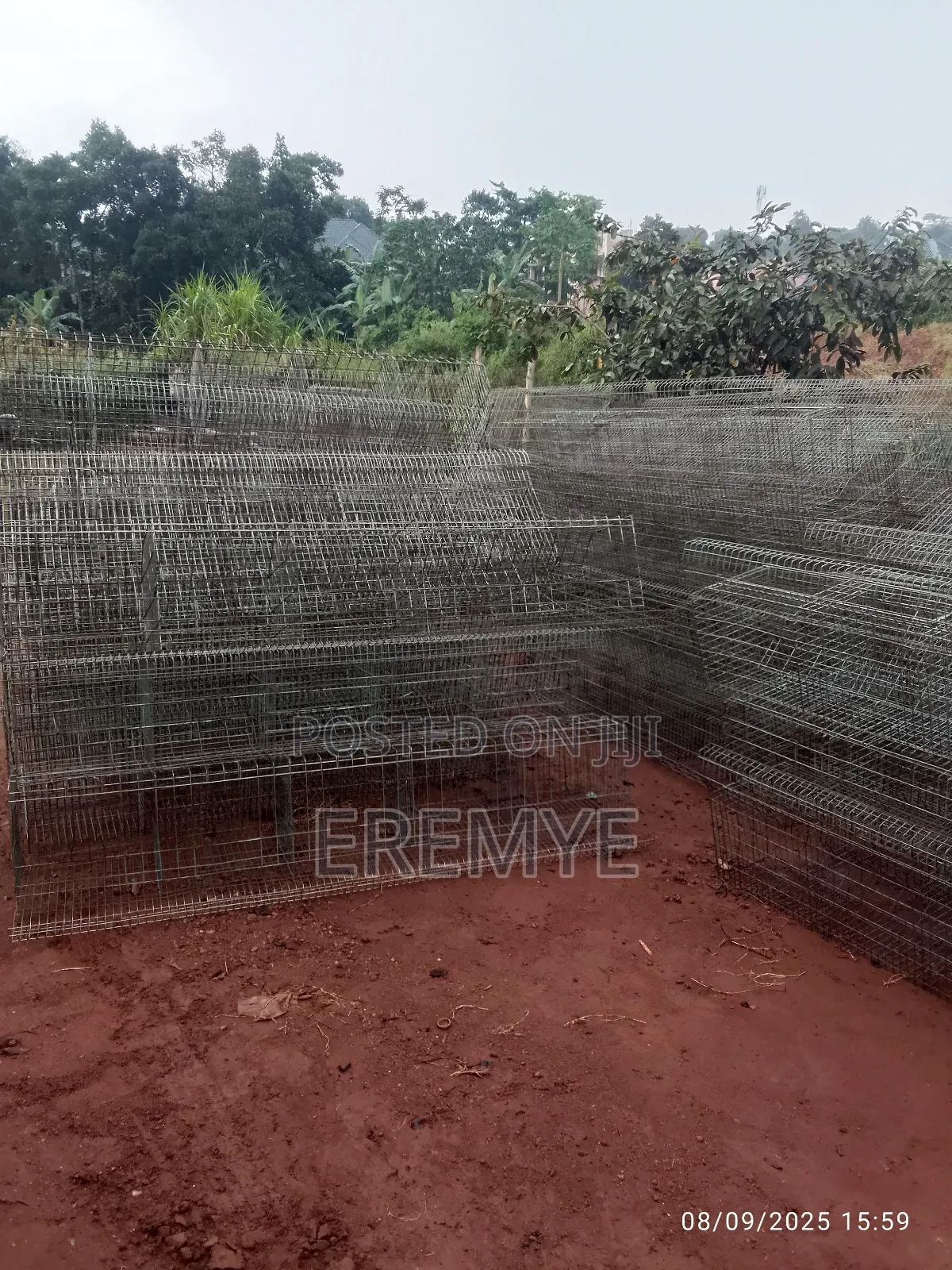 Chicken Cages