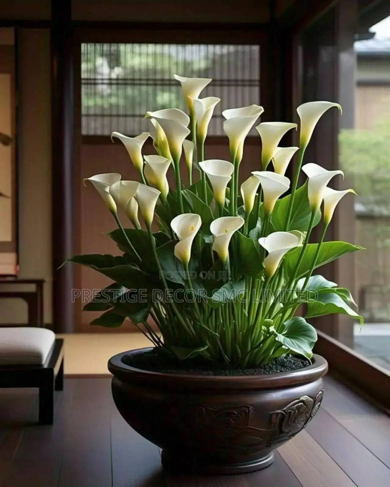 Simple Home Latest Flowers