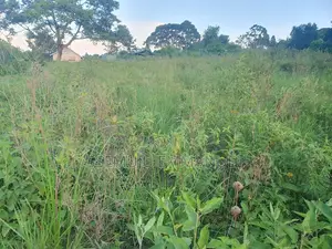 Plot for Sale in Kalangala