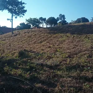 2.5 Acres in Bukasa Kirinya for Sale.