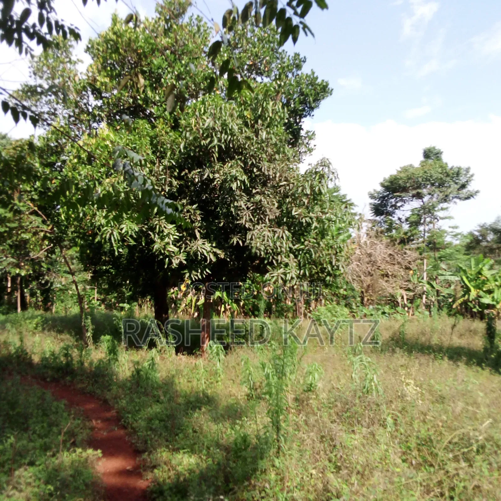 Land in Kirongo, Bugiri
