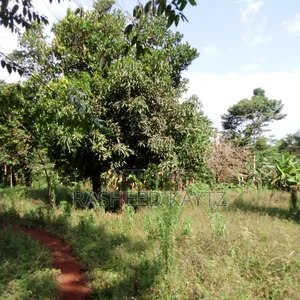 Land in Kirongo, Bugiri