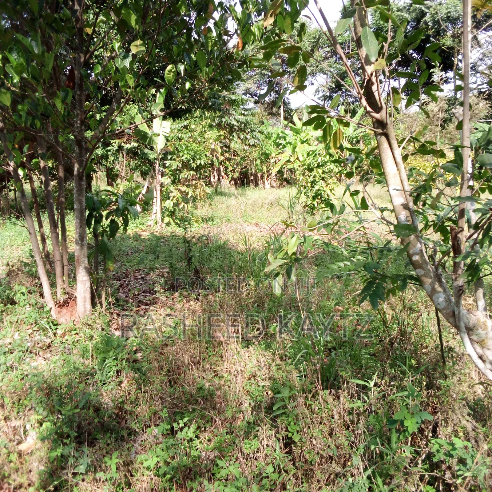 Land in Kirongo, Bugiri